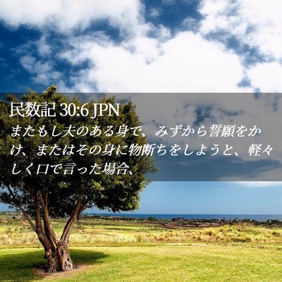 Picture 02 - 民数記 30:6 JPN - またもし夫のある身で、みずから誓 - Bible Verse Picture