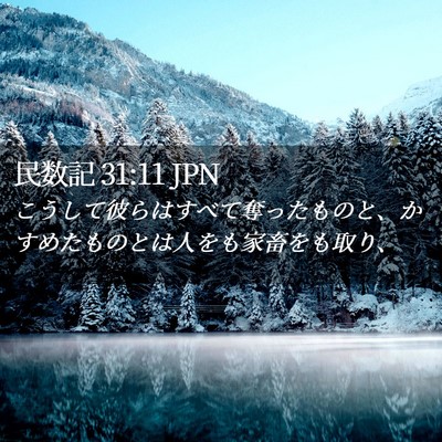 Picture 02 - 民数記 31:11 JPN - こうして彼らはすべて奪ったものと - Bible Verse Picture