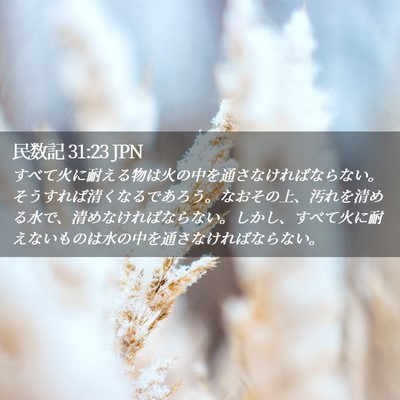 Picture 02 - 民数記 31:23 JPN - すべて火に耐える物は火の中を通さ - Bible Verse Picture