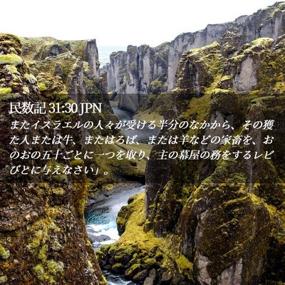 Picture 02 - 民数記 31:30 JPN - またイスラエルの人々が受ける半分 - Bible Verse Picture