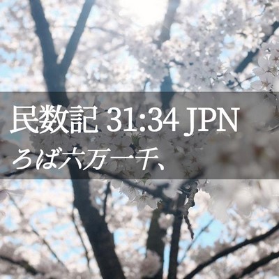 Picture 02 - 民数記 31:34 JPN - ろば六万一千、 - Bible Verse Picture