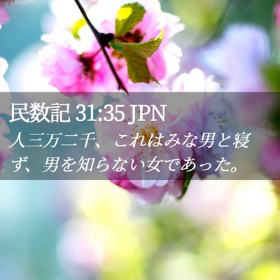 Picture 02 - 民数記 31:35 JPN - 人三万二千、これはみな男と寝ず、 - Bible Verse Picture