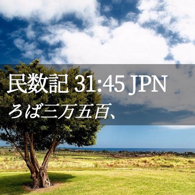 Picture 02 - 民数記 31:45 JPN - ろば三万五百、 - Bible Verse Picture
