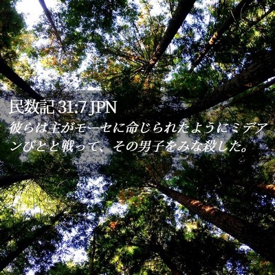Picture 02 - 民数記 31:7 JPN - 彼らは主がモーセに命じられたよう - Bible Verse Picture