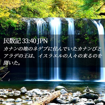 Picture 02 - 民数記 33:40 JPN - カナンの地のネゲブに住んでいたカ - Bible Verse Picture