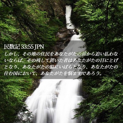Picture 02 - 民数記 33:55 JPN - しかし、その地の住民をあなたがた - Bible Verse Picture