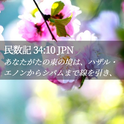 Picture 02 - 民数記 34:10 JPN - あなたがたの東の境は、ハザル・エ - Bible Verse Picture
