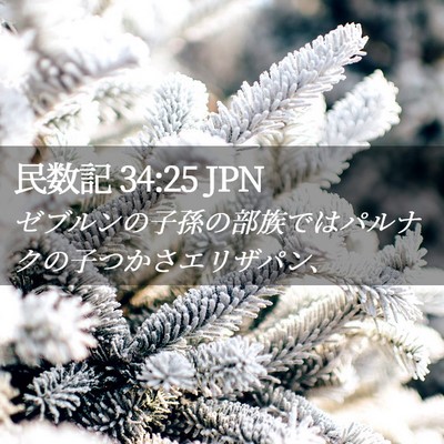 Picture 02 - 民数記 34:25 JPN - ゼブルンの子孫の部族ではパルナク - Bible Verse Picture