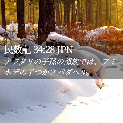 Picture 02 - 民数記 34:28 JPN - ナフタリの子孫の部族では、アミホ - Bible Verse Picture