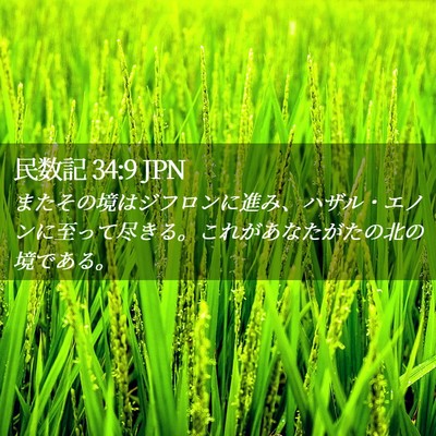 Picture 02 - 民数記 34:9 JPN - またその境はジフロンに進み、ハザ - Bible Verse Picture