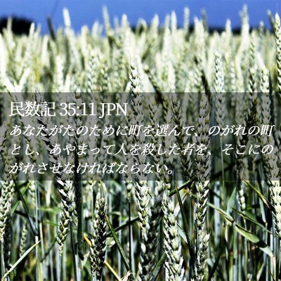 Picture 02 - 民数記 35:11 JPN - あなたがたのために町を選んで、の - Bible Verse Picture