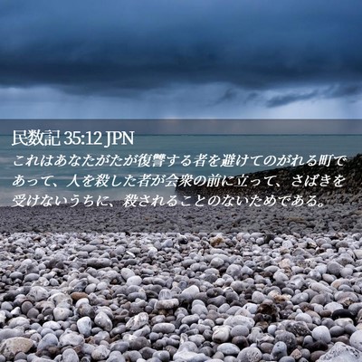 Picture 02 - 民数記 35:12 JPN - これはあなたがたが復讐する者を避 - Bible Verse Picture