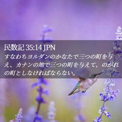 Picture 02 - 民数記 35:14 JPN - すなわちヨルダンのかなたで三つの - Bible Verse Picture