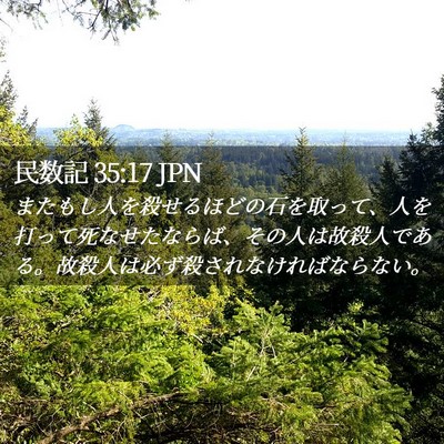 Picture 02 - 民数記 35:17 JPN - またもし人を殺せるほどの石を取っ - Bible Verse Picture
