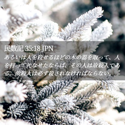 Picture 02 - 民数記 35:18 JPN - あるいは人を殺せるほどの木の器を - Bible Verse Picture