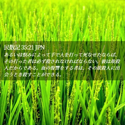 Picture 02 - 民数記 35:21 JPN - あるいは恨みによって手で人を打っ - Bible Verse Picture
