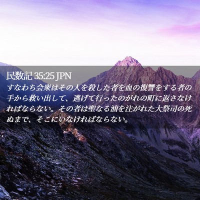 Picture 02 - 民数記 35:25 JPN - すなわち会衆はその人を殺した者を - Bible Verse Picture