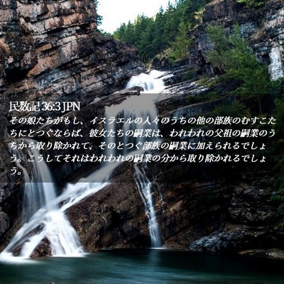 Picture 02 - 民数記 36:3 JPN - その娘たちがもし、イスラエルの人 - Bible Verse Picture