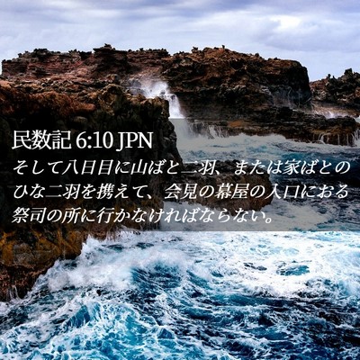 Picture 02 - 民数記 6:10 JPN - そして八日目に山ばと二羽、または - Bible Verse Picture