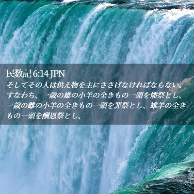 Picture 02 - 民数記 6:14 JPN - そしてその人は供え物を主にささげ - Bible Verse Picture