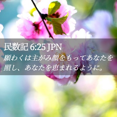 Picture 02 - 民数記 6:25 JPN - 願わくは主がみ顔をもってあなたを - Bible Verse Picture