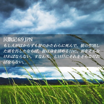 Picture 02 - 民数記 6:9 JPN - もし人がはからずも彼のかたわらに - Bible Verse Picture