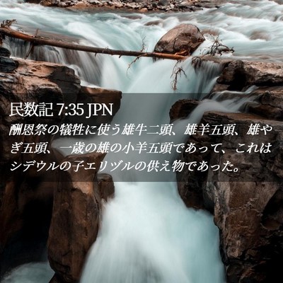 Picture 02 - 民数記 7:35 JPN - 酬恩祭の犠牲に使う雄牛二頭、雄羊 - Bible Verse Picture