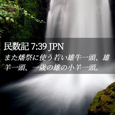 Picture 02 - 民数記 7:39 JPN - また燔祭に使う若い雄牛一頭、雄羊 - Bible Verse Picture