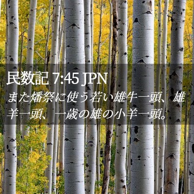 Picture 02 - 民数記 7:45 JPN - また燔祭に使う若い雄牛一頭、雄羊 - Bible Verse Picture