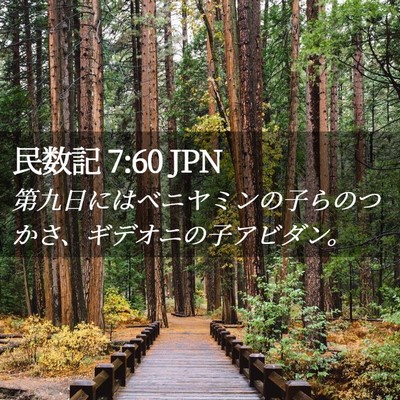 Picture 02 - 民数記 7:60 JPN - 第九日にはベニヤミンの子らのつか - Bible Verse Picture
