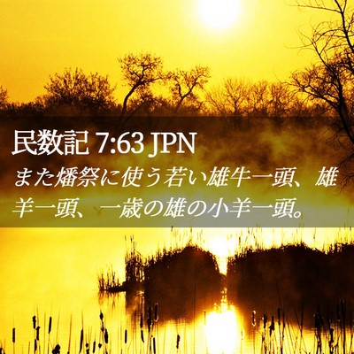 Picture 02 - 民数記 7:63 JPN - また燔祭に使う若い雄牛一頭、雄羊 - Bible Verse Picture
