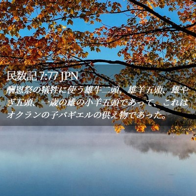 Picture 02 - 民数記 7:77 JPN - 酬恩祭の犠牲に使う雄牛二頭、雄羊 - Bible Verse Picture