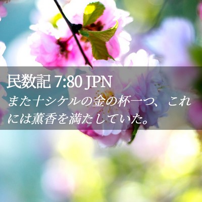 Picture 02 - 民数記 7:80 JPN - また十シケルの金の杯一つ、これに - Bible Verse Picture