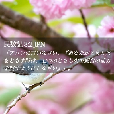 Picture 02 - 民数記 8:2 JPN - 「アロンに言いなさい、『あなたが - Bible Verse Picture