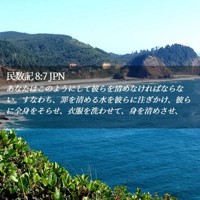Picture 02 - 民数記 8:7 JPN - あなたはこのようにして彼らを清め - Bible Verse Picture