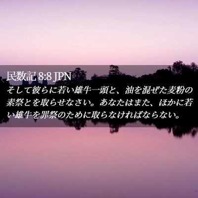 Picture 02 - 民数記 8:8 JPN - そして彼らに若い雄牛一頭と、油を - Bible Verse Picture