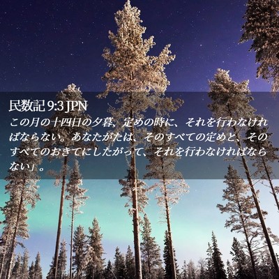 Picture 02 - 民数記 9:3 JPN - この月の十四日の夕暮、定めの時に - Bible Verse Picture