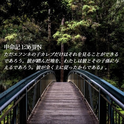 Picture 02 - 申命記 1:36 JPN - ただエフンネの子カレブだけはそれ - Bible Verse Picture