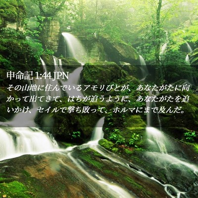 Picture 02 - 申命記 1:44 JPN - その山地に住んでいるアモリびとが - Bible Verse Picture