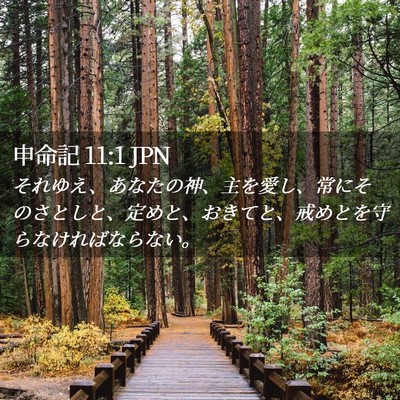 Picture 02 - 申命記 11:1 JPN - それゆえ、あなたの神、主を愛し、 - Bible Verse Picture