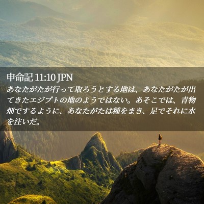 Picture 02 - 申命記 11:10 JPN - あなたがたが行って取ろうとする地 - Bible Verse Picture