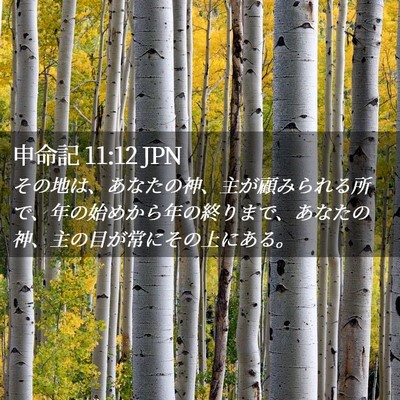 Picture 02 - 申命記 11:12 JPN - その地は、あなたの神、主が顧みら - Bible Verse Picture