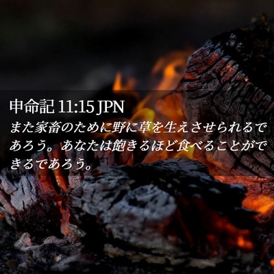 Picture 02 - 申命記 11:15 JPN - また家畜のために野に草を生えさせ - Bible Verse Picture
