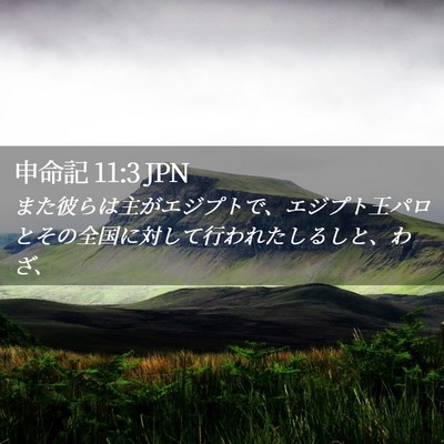 Picture 02 - 申命記 11:3 JPN - また彼らは主がエジプトで、エジプ - Bible Verse Picture