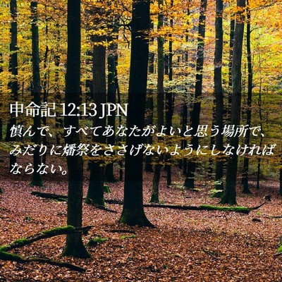 Picture 02 - 申命記 12:13 JPN - 慎んで、すべてあなたがよいと思う - Bible Verse Picture