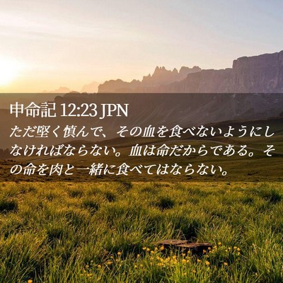 Picture 02 - 申命記 12:23 JPN - ただ堅く慎んで、その血を食べない - Bible Verse Picture