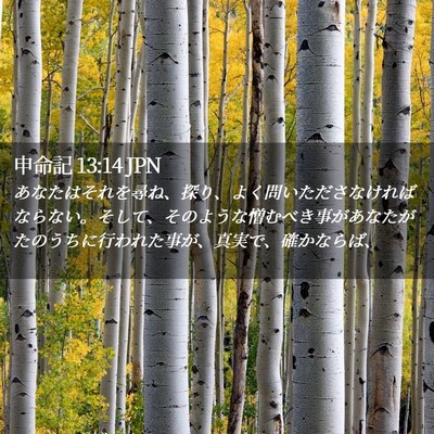 Picture 02 - 申命記 13:14 JPN - あなたはそれを尋ね、探り、よく問 - Bible Verse Picture