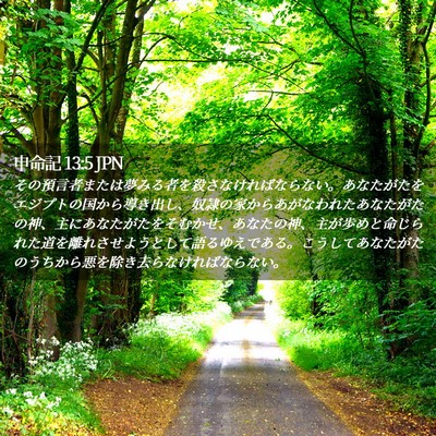 Picture 02 - 申命記 13:5 JPN - その預言者または夢みる者を殺さな - Bible Verse Picture