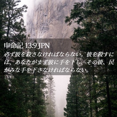 Picture 02 - 申命記 13:9 JPN - 必ず彼を殺さなければならない。彼 - Bible Verse Picture