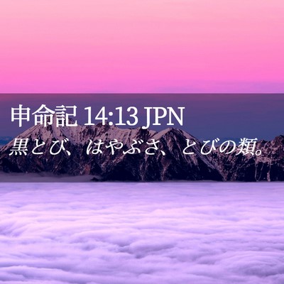Picture 02 - 申命記 14:13 JPN - 黒とび、はやぶさ、とびの類。 - Bible Verse Picture